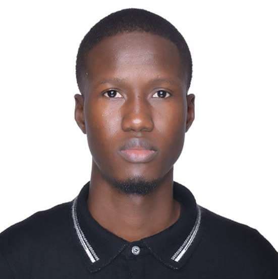 Portrait fictif de Mohamed Gassama